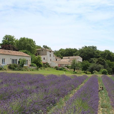 Hotel Les Anes De Forcalquier Exteriér fotografie