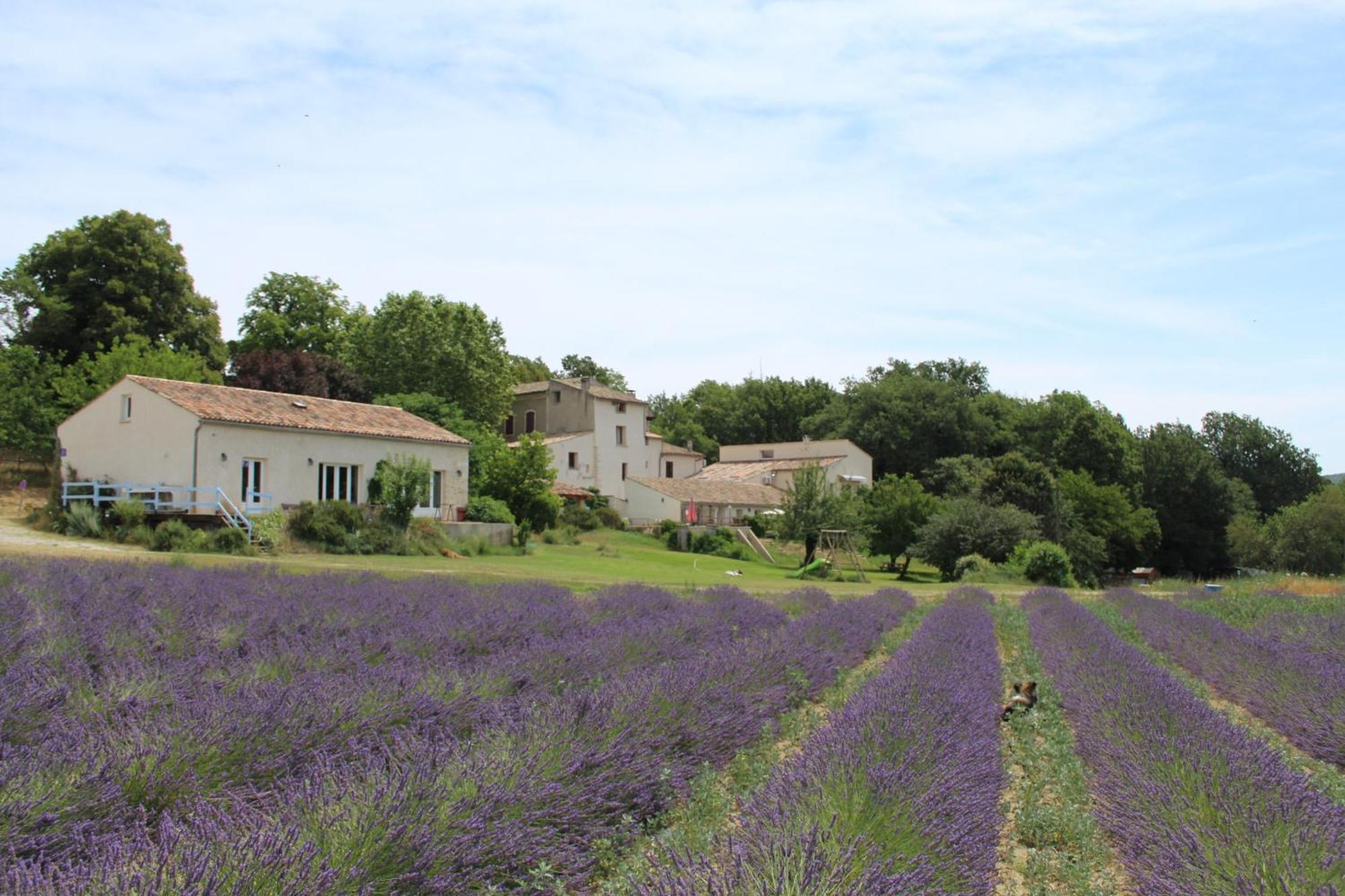 Hotel Les Anes De Forcalquier Exteriér fotografie