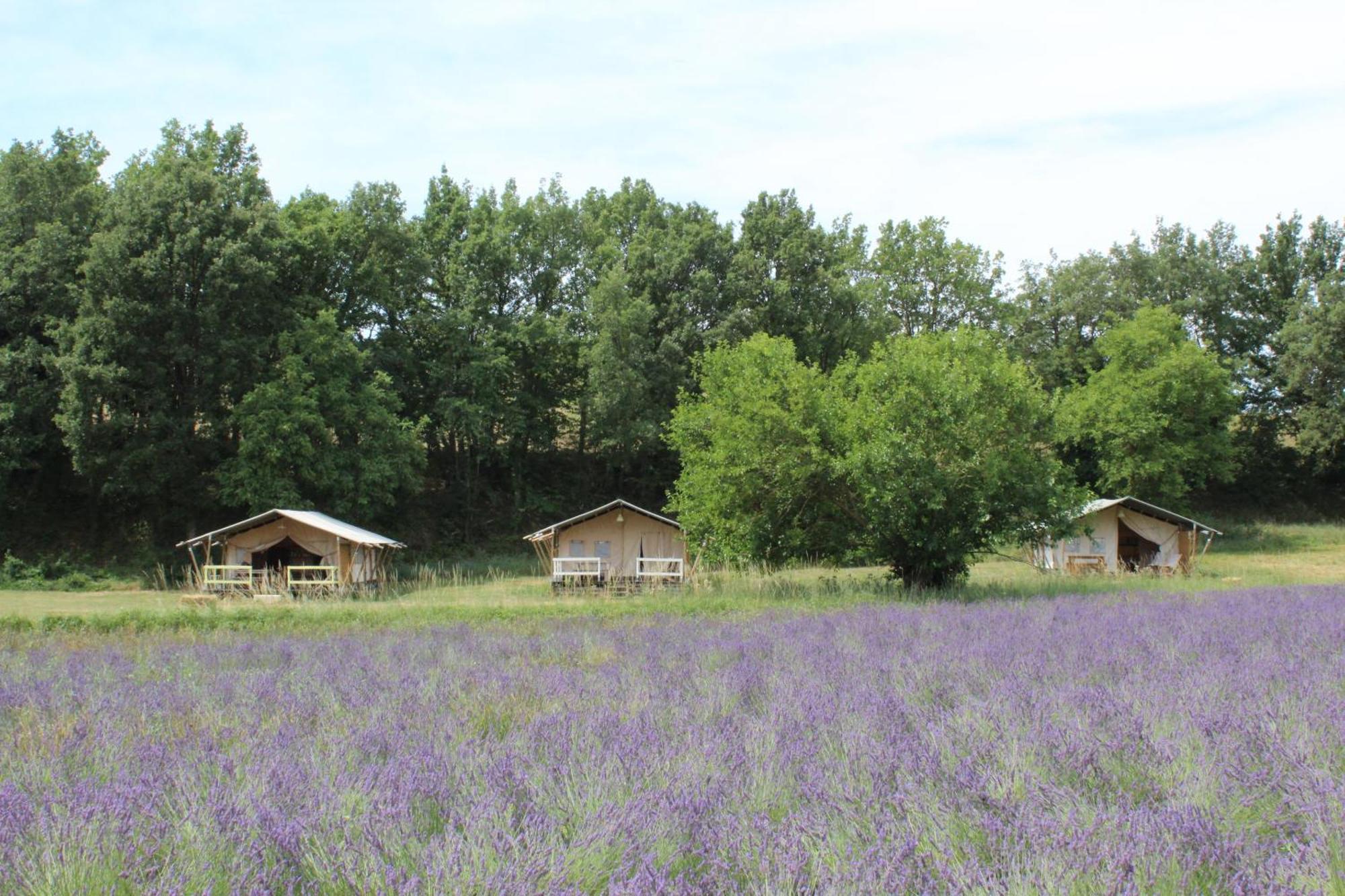 Hotel Les Anes De Forcalquier Exteriér fotografie