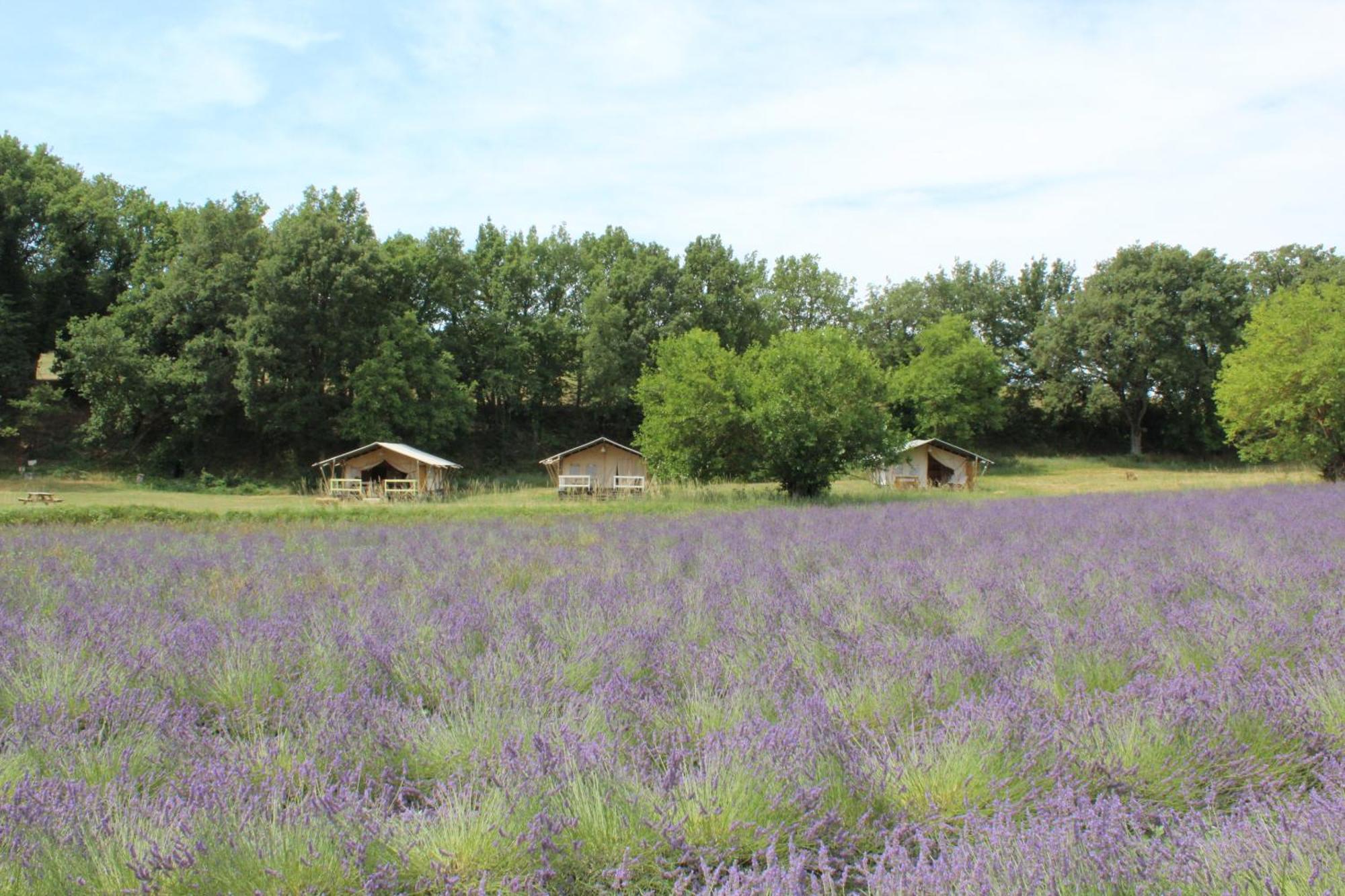 Hotel Les Anes De Forcalquier Exteriér fotografie