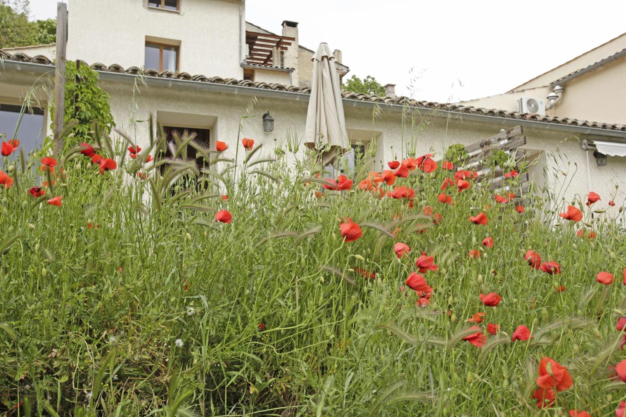 Hotel Les Anes De Forcalquier Pokoj fotografie